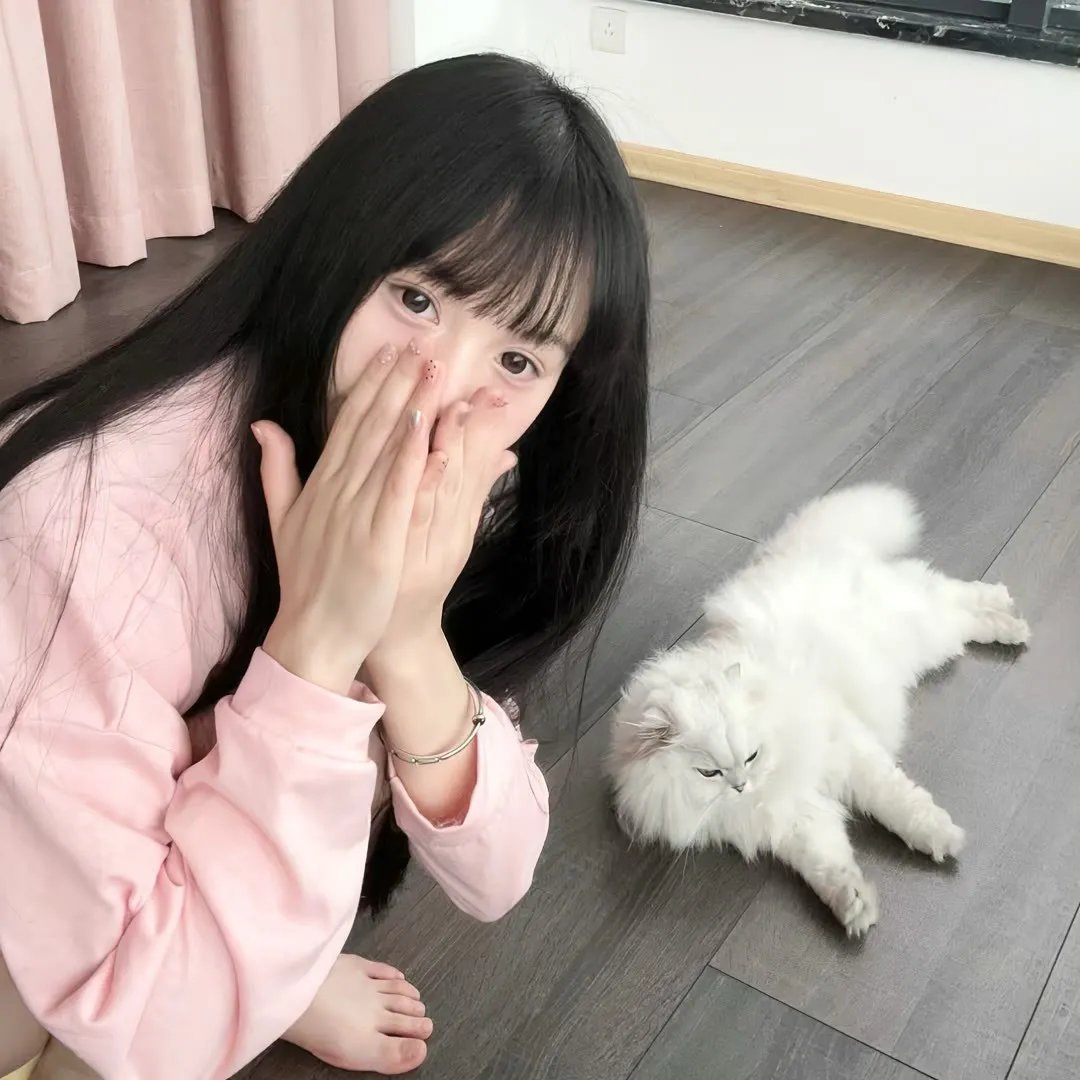 超完美家政妇
